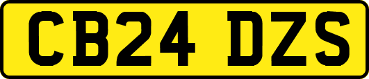 CB24DZS