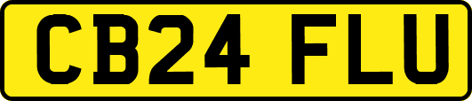 CB24FLU