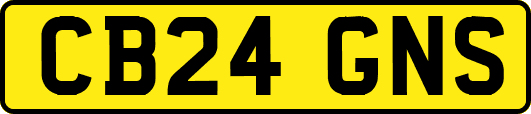 CB24GNS