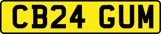 CB24GUM