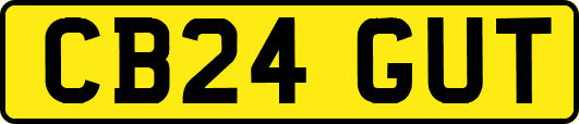 CB24GUT