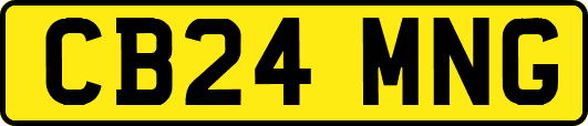 CB24MNG