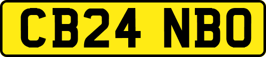 CB24NBO