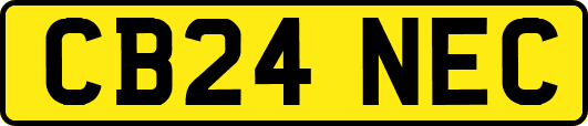 CB24NEC