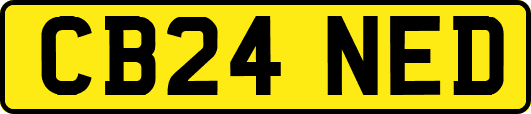 CB24NED