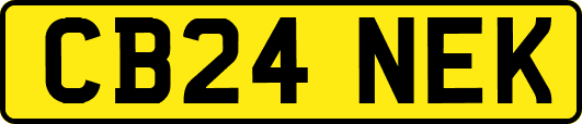 CB24NEK