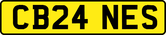 CB24NES