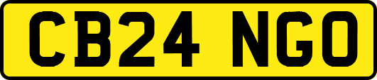 CB24NGO