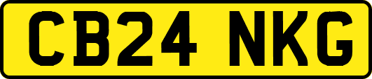 CB24NKG