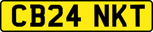 CB24NKT