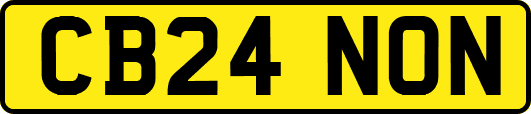 CB24NON