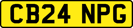 CB24NPG