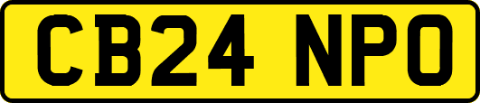 CB24NPO