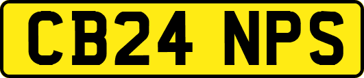 CB24NPS