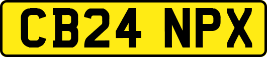 CB24NPX
