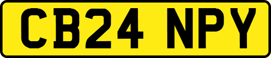 CB24NPY