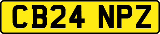 CB24NPZ