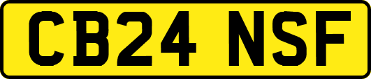 CB24NSF