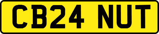 CB24NUT
