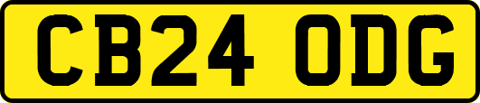 CB24ODG