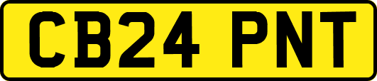 CB24PNT