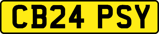 CB24PSY