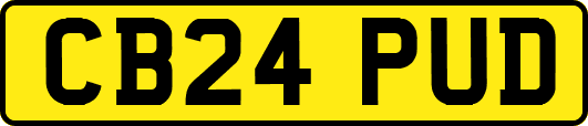 CB24PUD