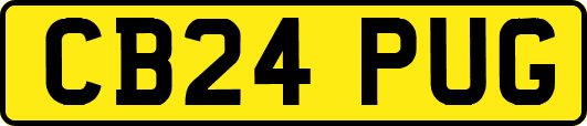 CB24PUG