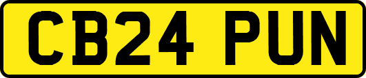 CB24PUN