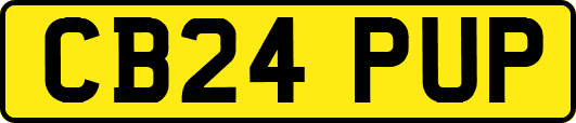 CB24PUP