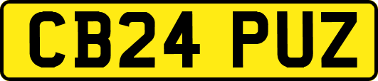 CB24PUZ