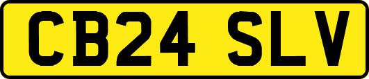 CB24SLV