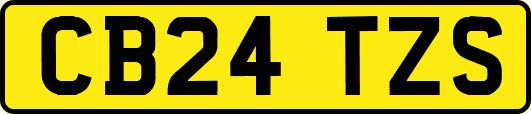 CB24TZS