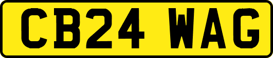 CB24WAG