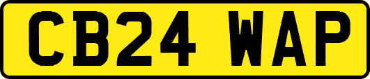 CB24WAP