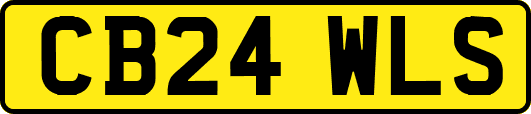 CB24WLS