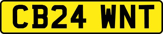 CB24WNT