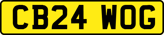 CB24WOG