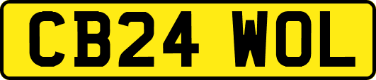 CB24WOL