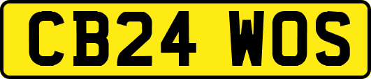 CB24WOS