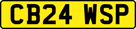 CB24WSP