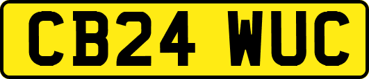 CB24WUC