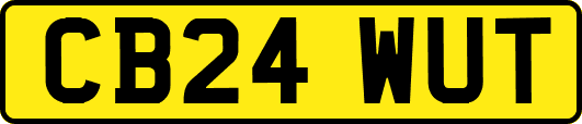 CB24WUT