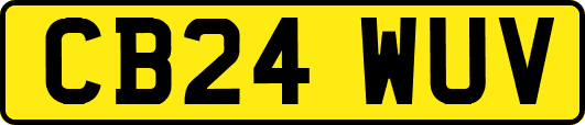 CB24WUV