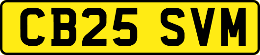 CB25SVM
