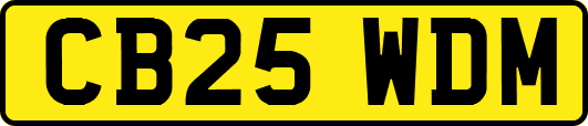 CB25WDM