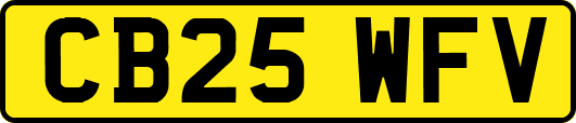 CB25WFV