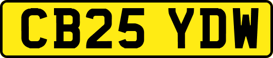 CB25YDW