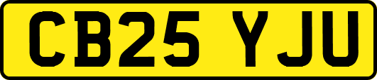 CB25YJU