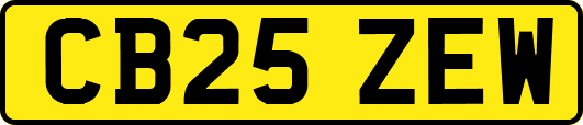 CB25ZEW